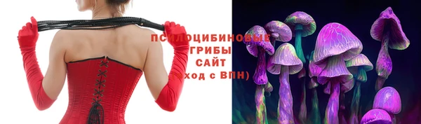 прущие грибы Ладушкин