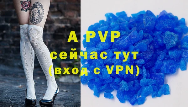 хмурый Бородино