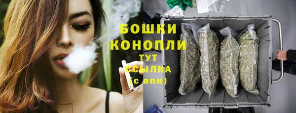 ECSTASY Липки