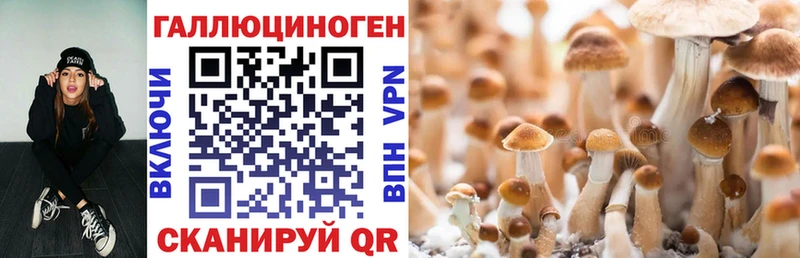 ссылка на мегу зеркало  Маркс  Псилоцибиновые грибы прущие грибы  закладка 