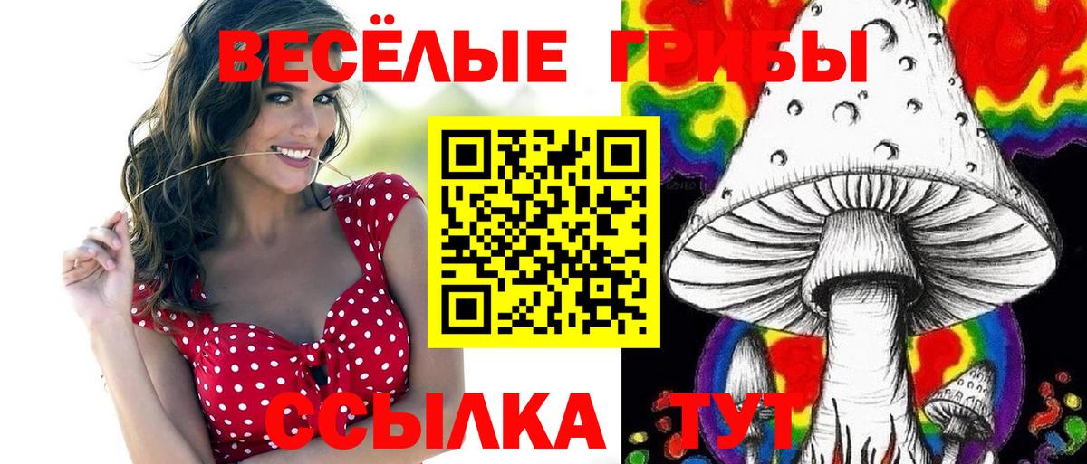Псилоцибиновые грибы Psilocybe  Вход с VPN  Маркс 