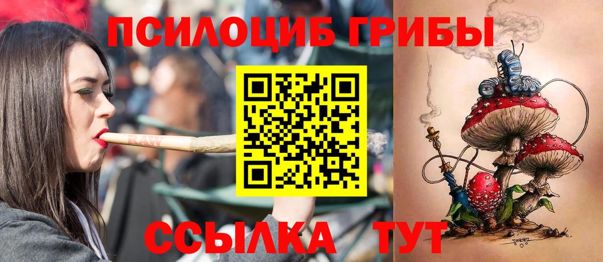 Галлюциногенные грибы мицелий  Галлюциногенные грибы Psilocybe  Маркс 