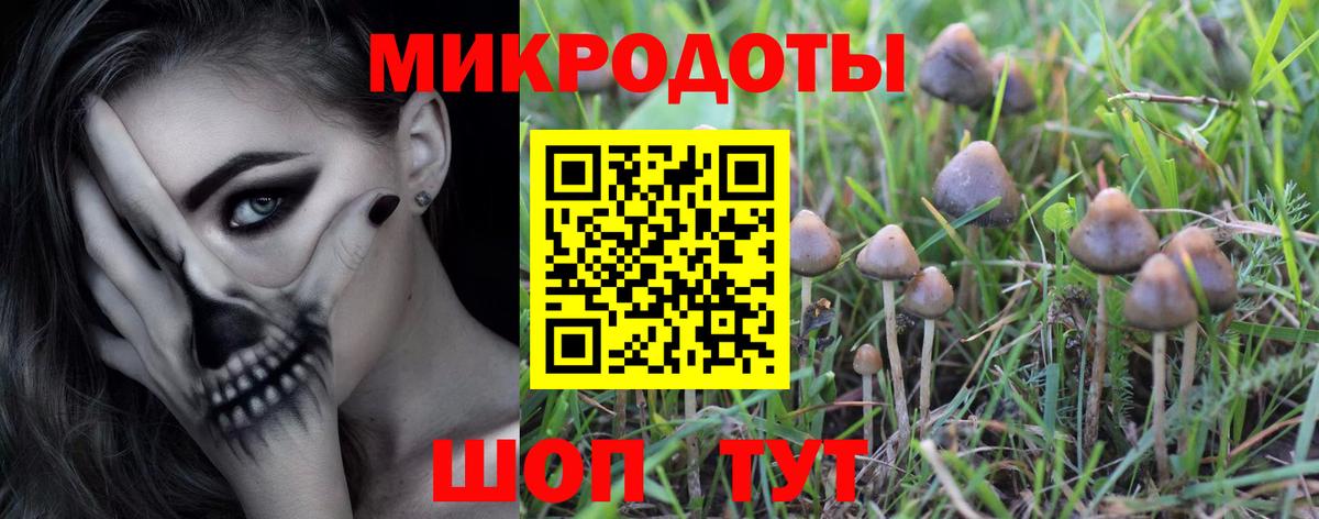 Псилоцибиновые грибы Cubensis Маркс