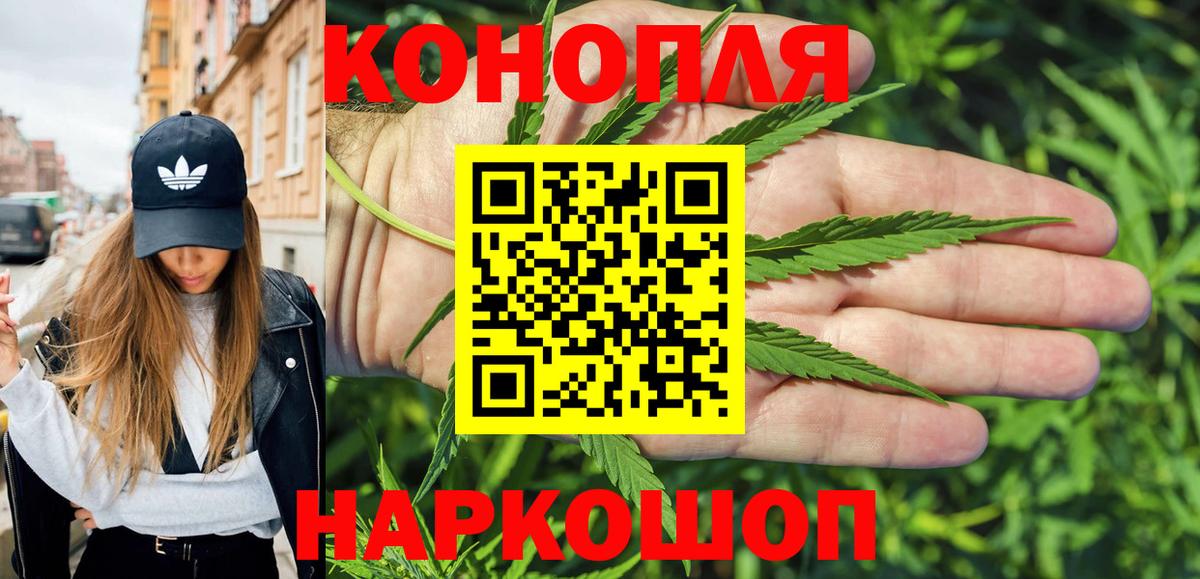 Бошки Шишки планчик Маркс